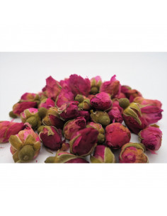 BOUTON DE ROSE - 玫瑰花