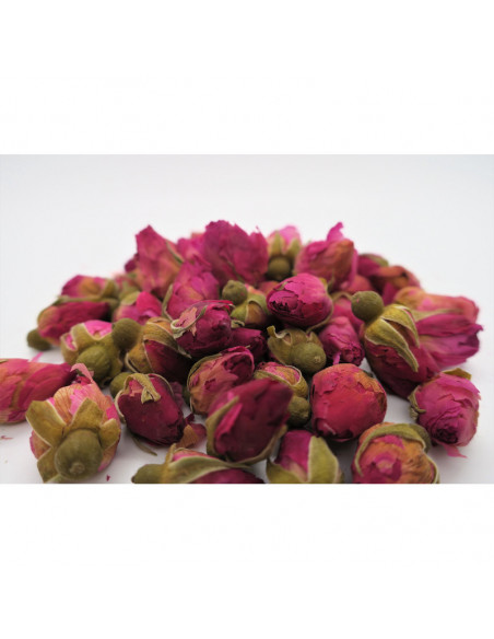 BOUTON DE ROSE - 玫瑰花