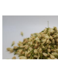 THE JASMIN - MO LI HUA CHA - 茉莉花茶 2