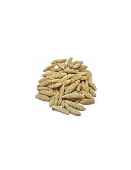 Mai Meng Dong - Ophiopogon japonicus - 麦门冬