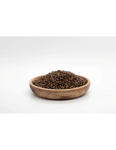 Jue Ming Zi -Cassia obtusifolia - 决明子