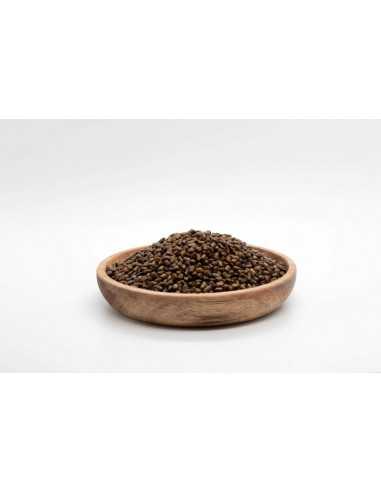 Jue Ming Zi -Cassia obtusifolia - 决明子