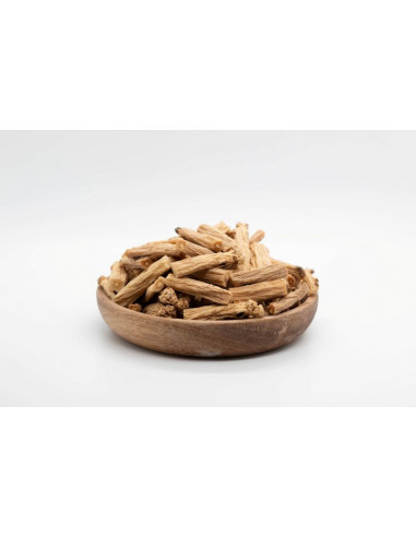 Dang Shen - Codonopsis pilosula - 党参