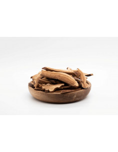 LING ZHI - HEISHI - 灵芝