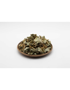 Jin Qian Cao - Lysimachia Christinae - 金钱草