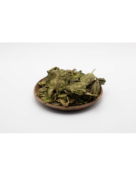 Sang Ye - Feuilles de Mûrier - 桑叶