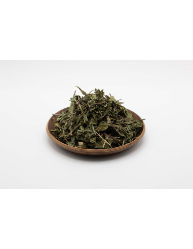 Pu Gong Ying  - Pissenlit - 蒲公英