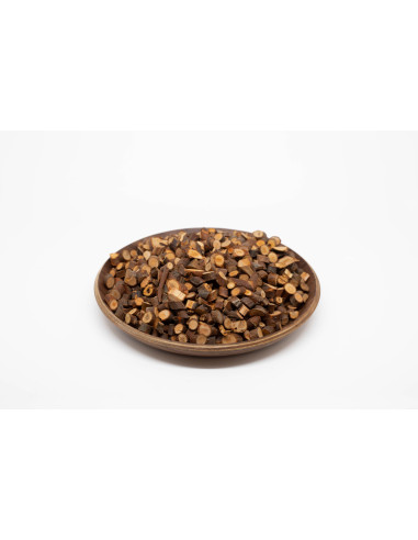 Cinnamomum cassia - GUI ZHI - 桂枝