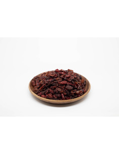 Cornus officinalis - SHAN ZHU YU - 山茱萸