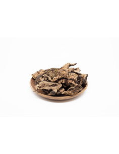 Cimicifuga heracleifolia - SHENG MA - 升麻