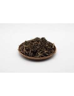 Patrinia villosa - BAI JIANG CAO - 败酱草