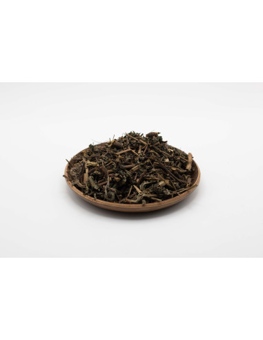 Patrinia villosa - BAI JIANG CAO - 败酱草
