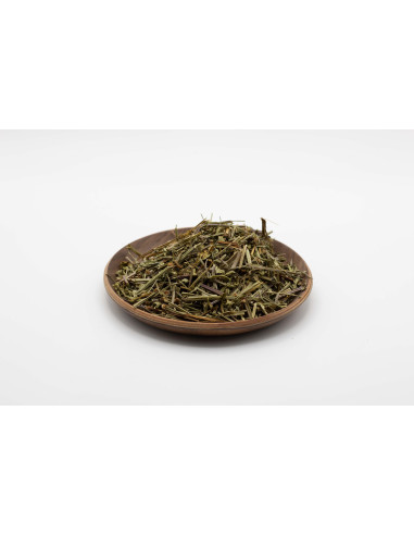 Scutellaria barbata - BAN ZHI LIAN - 半枝莲