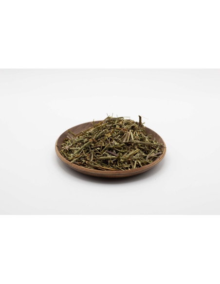 Scutellaria barbata - BAN ZHI LIAN - 半枝莲