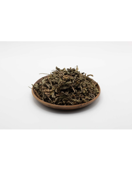 Plantago asiatica - CHE QIAN CAO - 车前草