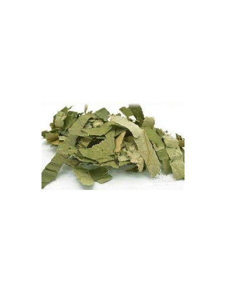 He Ye - Feuille de Lotus - 荷叶