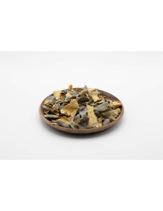 Benincasa hispida - DONG GUA PI - 冬瓜皮