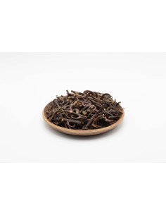 Uncaria rhynchophylla - GOU TENG - 钩藤