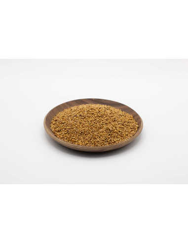 Setaria italica - GU YA - 谷芽