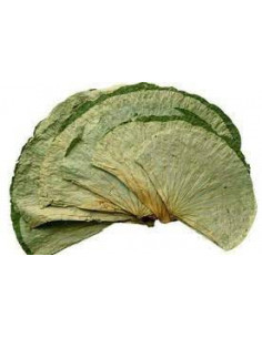 He Ye - Feuille de Lotus - 荷叶 2