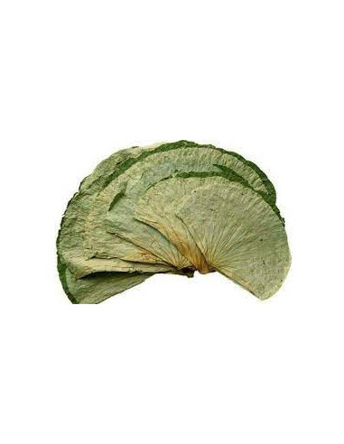 He Ye - Feuille de Lotus - 荷叶