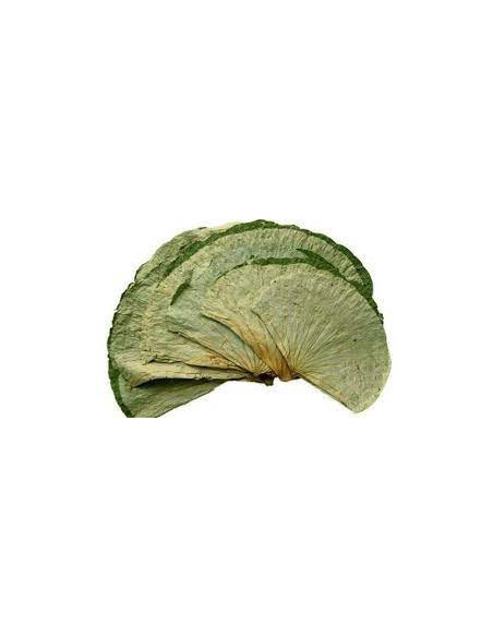 He Ye - Feuille de Lotus - 荷叶