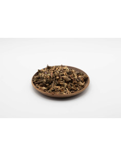 Agastache - HUO XIANG - 藿香