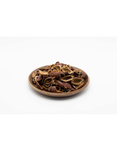 Rosa laevigata - JIN YING ZI - 金樱子