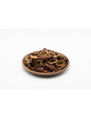 Rosa laevigata - JIN YING ZI - 金樱子