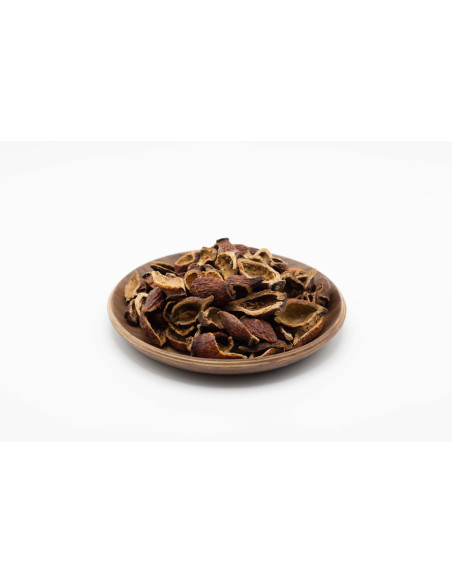 Rosa laevigata - JIN YING ZI - 金樱子