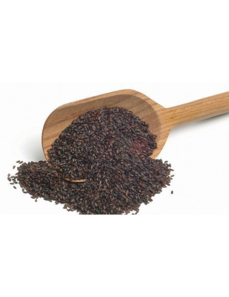 Che Qian Zi - Plantago asiatica - 车前子