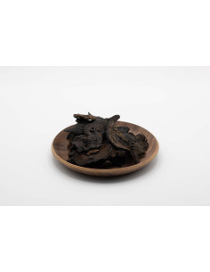 Cistanche - ROU CONG RONG - 肉苁蓉