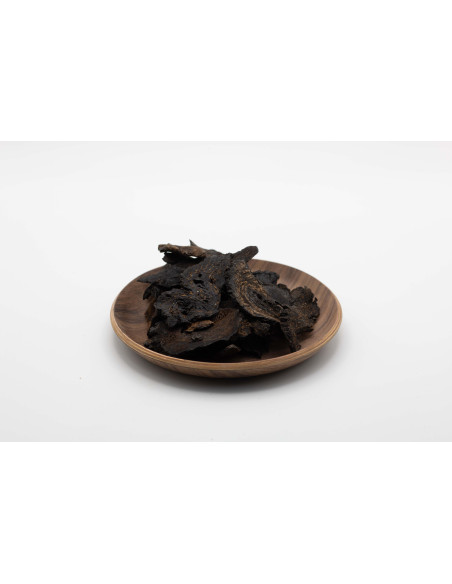 Cistanche - ROU CONG RONG - 肉苁蓉