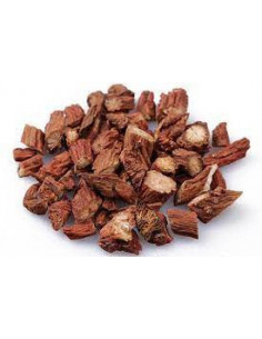 Dan Shen - Salvia miltiorrhiza - 丹参 2