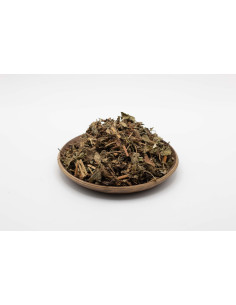 Agrimoine de Chine - XIAN HE CAO - 仙鹤草