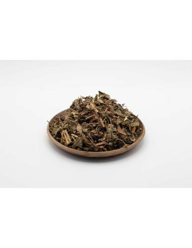 Agrimoine de Chine - XIAN HE CAO - 仙鹤草