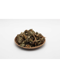 Houttuynia - YU XING CAO - 鱼腥草