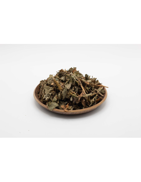 Houttuynia - YU XING CAO - 鱼腥草
