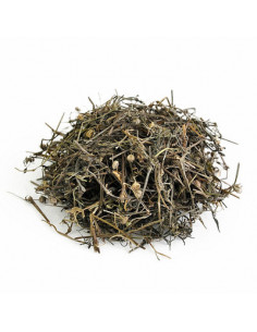 Bai Hua She She Cao - La Hedyotis diffusa - 白花蛇舌草