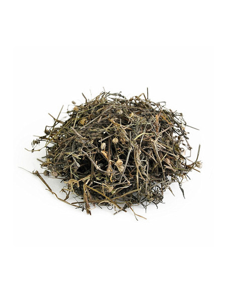 Bai Hua She She Cao - La Hedyotis diffusa - 白花蛇舌草