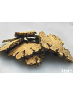 Chuan Xiong - Ligusticum - 川芎