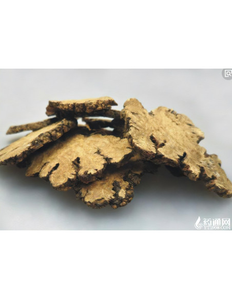 Chuan Xiong - Ligusticum - 川芎