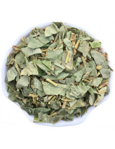 Jin Qian Cao - Lysimachia Christinae - 金钱草