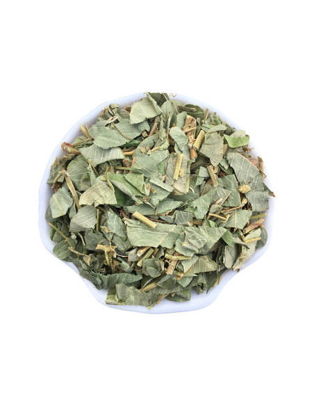 Jin Qian Cao - Lysimachia Christinae - 金钱草