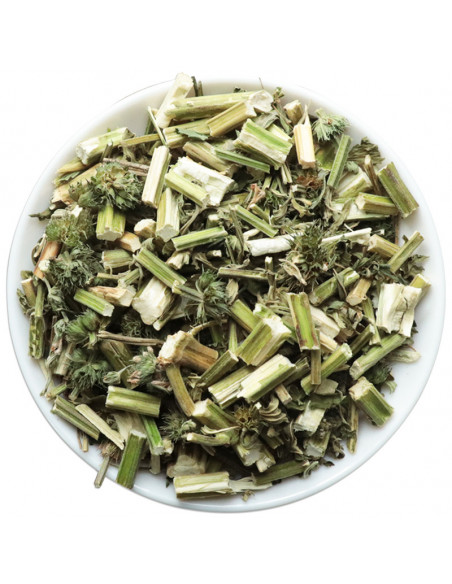 Yi Mu Cao