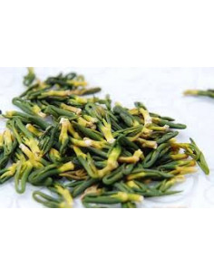 Lian Zi Xin - Germe de Lotus - 莲子心