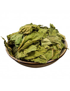 Sang Ye - Feuilles de Mûrier - 桑叶