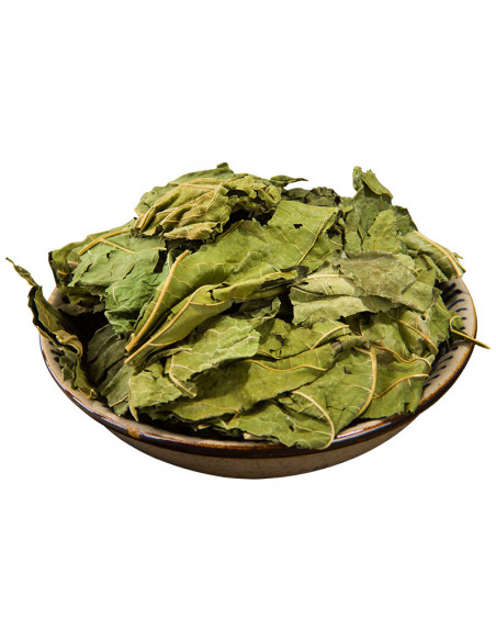 Sang Ye - Feuilles de Mûrier - 桑叶