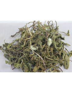 Pu Gong Ying  - Pissenlit - 蒲公英