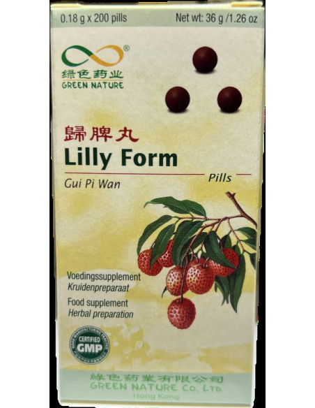 GUI PI WAN - 归脾丸